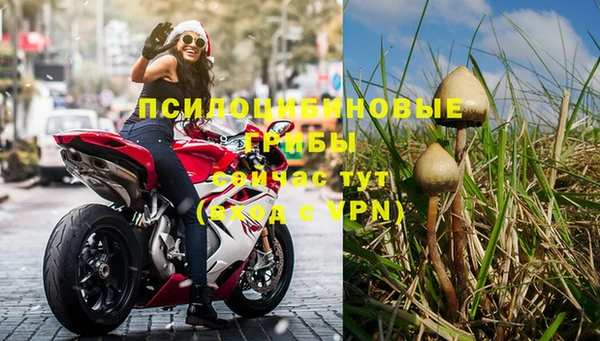 прущие грибы Лихославль
