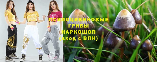 каннабис Арсеньев